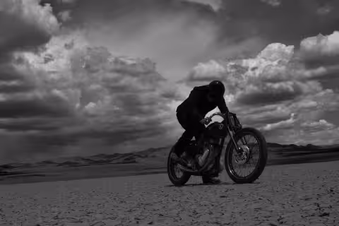 The Kestrel, desert bw